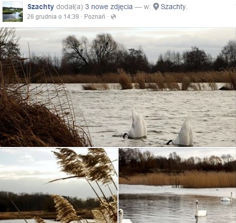 szachtyposwietachtekst