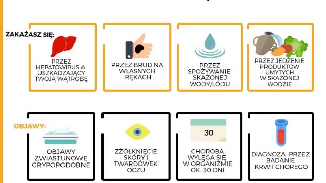 wzw-typu-a-przykladowy-wzor-ulotkipic11016109615176465with-ratio16 9