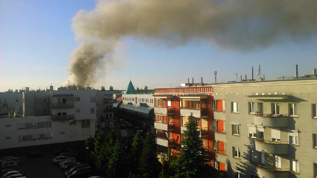 dziendobrypoznan25maj2