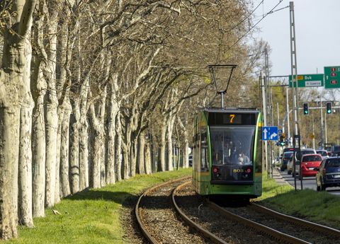 PRACE TRZY DRZEWACH. TRAMWAJ INNĄ TRASĄ.