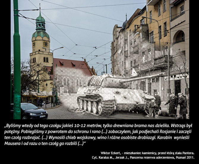 6.-Pantera-na-rynku-Wildeckim-light