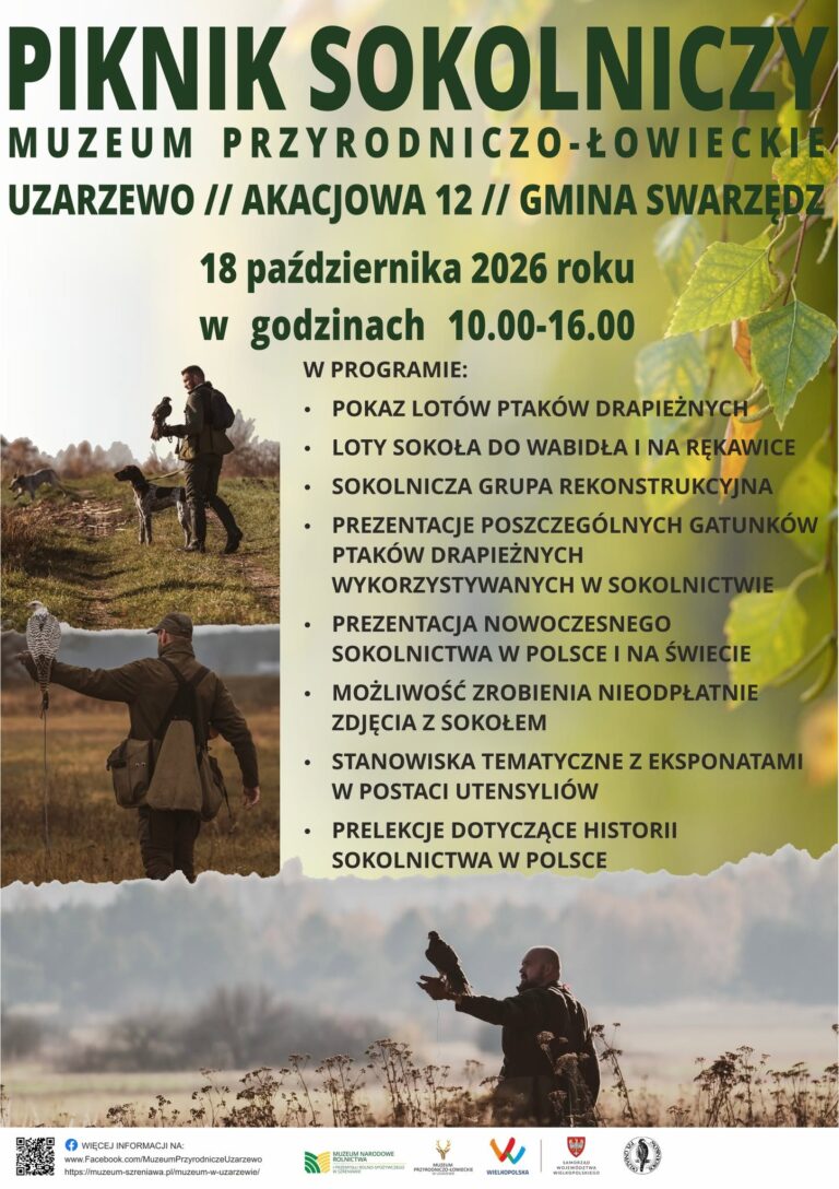piknik sokol