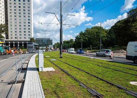 TRAMWAJE ZNÓW NA KRÓLOWEJ JADWIGI